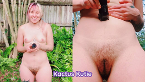 trimming my backyard bush