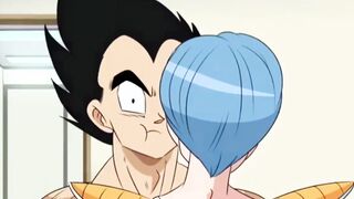 Vegeta gets a gift (Vegeta x Bulma [FunsexyDB]