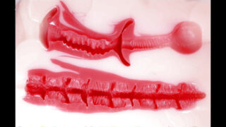 Những anh chàng người Mỹ mũm mĩm được bôi dầu, thủ dâm và quan hệ tình dục qua đường hậu môn.