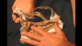 Deep love hardcore action