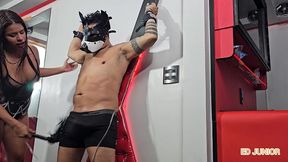 ed junior se vinga da dominatrix fudendo ela sem camisinha com forca