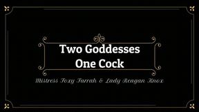 Two Goddesses One Cock *wmv*