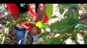 o entragador de pizza ja tinha me fodido mais eli ainda levo minha pro mato o puto tarado