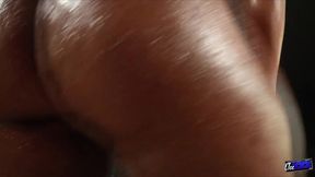 gemini lovelle and vanessa mone s big wet asses.