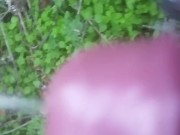 Piss walking in backyard