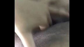 Mulher molhadinha querendo fuder.