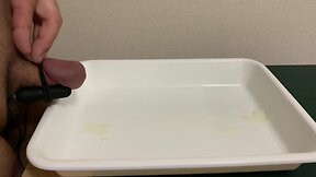 Fat person masturbating with vibrating eggs and urinating