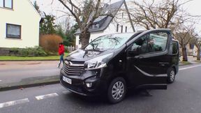 Sexy Milf had sex in the car with a big dick and does cumshot