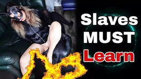Slaves Must Learn - Femdom Discipline Bondage