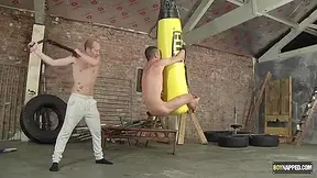 Sunny Glick, Sean Michaels And Michael Wyatt In Pounded On The Punching Bag