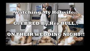 Watching my Hotwife get Bred by Her Bull on Their Wedding Night