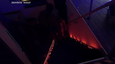 Johntrillium - update #69 - BradGagging2 - Aug 19, 2024