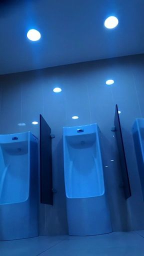 A Filthy Slave Playing with Her Anus in the Public Restroom