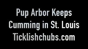 Pup Arbor Keeps Cumming in St Louis