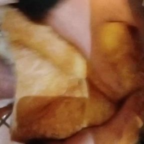 Man fucking Bread