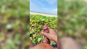 Cut Cock cumshot at beach oil massage Sinhala boy with cock ring srilanka