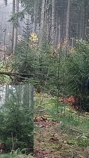 A Real Kick in the Balls