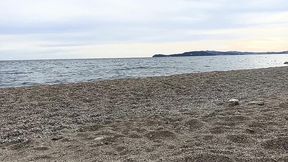 afternoon at the beach ... !