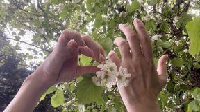 Forest aesthetics of hands