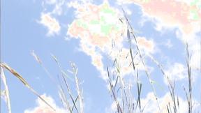 ”Carina goes outdoors & strips”