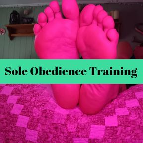 Sole Obedience Training