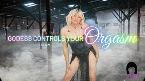 GODDESS CONTROLS YOUR ORGASM Lola Minaj Trans Orgasm Denial JOI MP4SD