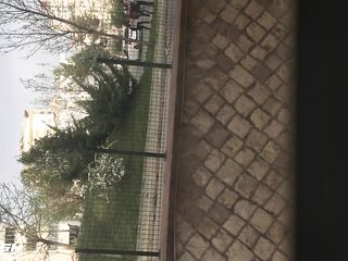 Window flash teens 2 Day 1 (window pov)