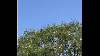 espa&ntilde_ola caliente me la mama y pide leche dent&oacute_ de su boca