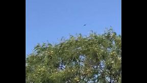 espa&ntilde_ola caliente me la mama y pide leche dent&oacute_ de su boca