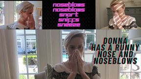 DONNA HAS A RUNNY NOSE AND CAN'T STOP BLOWING HER NOSE IN THE OFFICE! NOSE BLOWS, SNEEZES, SNORTS, SPITS AN BRAND NEW FOOTAGE wmv FOOTAGE