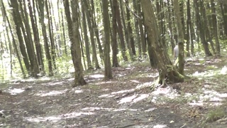 Upskirt no panties . Naked mommy Milf without panties picks mushrooms in forest . Outdoors Outside