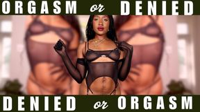 Orgasm or Denied JOI