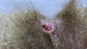 New hairy pussy compilation