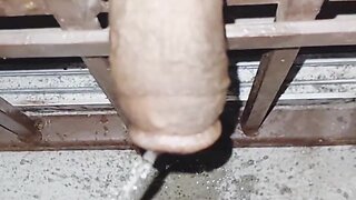 Flashing genitalia at home and urinating through window