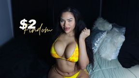 $2 Financial Domination