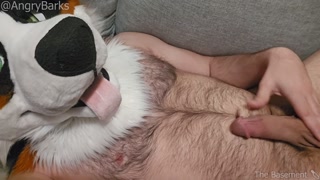 Furry Eunuch @AngryBarks gets hard rubbing his empty sack,shoots infertile cum💦 Good Neutered Puppy