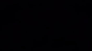 Amy Lizvette Trujillo