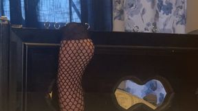 Kitty Gets Harmony in Her Stocks