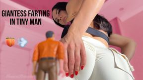 Giantess Farting in Tiny Man in 4K