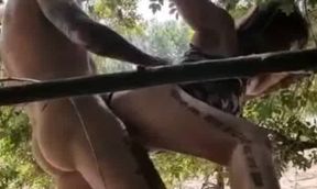il nique sa meuf dans le bois