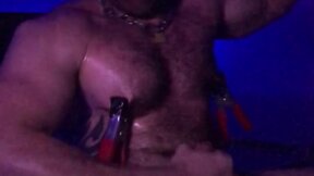 Oiled hairy hunk pig with nipple clamps