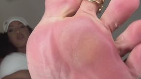 Class is in Session Tiny