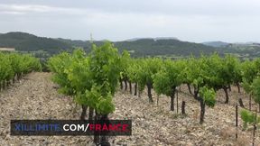 Outdoor sex in the vineyards