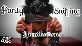 You’re a Perverted Panty Sniffing Roommate - Verbal Humiliation 4K