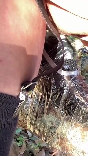 Trainer's Command No. 43: Masturbation Machine