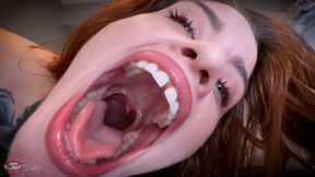 Shrink And Swallow Seduction! Ft Jasper Reed - HD MP4 1080p Format