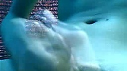 Horny Big Cock