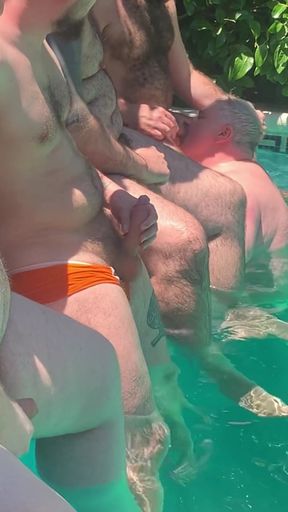 Hairy Bear Orgy in the Pool, They Fuck Raw.