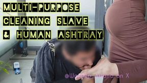 Multi-Purpose Cleaning Slave & Human Ashtray