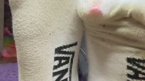 3 day old vans ped socks STINKY joi